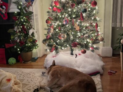 Happy Holidays to all!